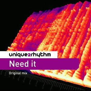 Unique2rhythm - Need It - Original Mixes